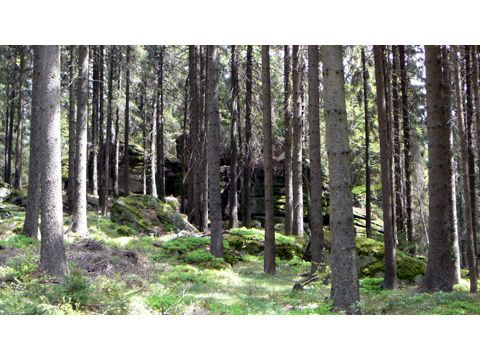 Foto 68